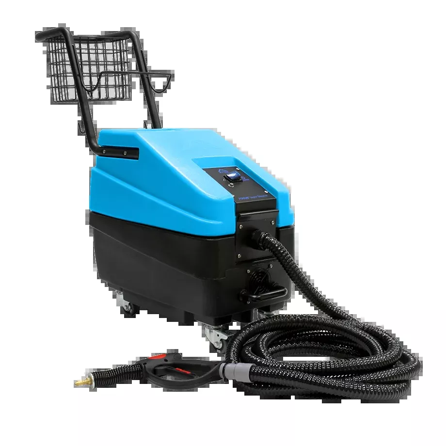 1600 Focus™ Vapor Steamer - SHIPS FOR FREE!